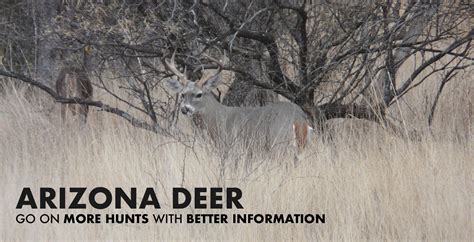 arizona draw odds calculator|Arizona Deer Hunting, Mule, Coues & Youth 2023.